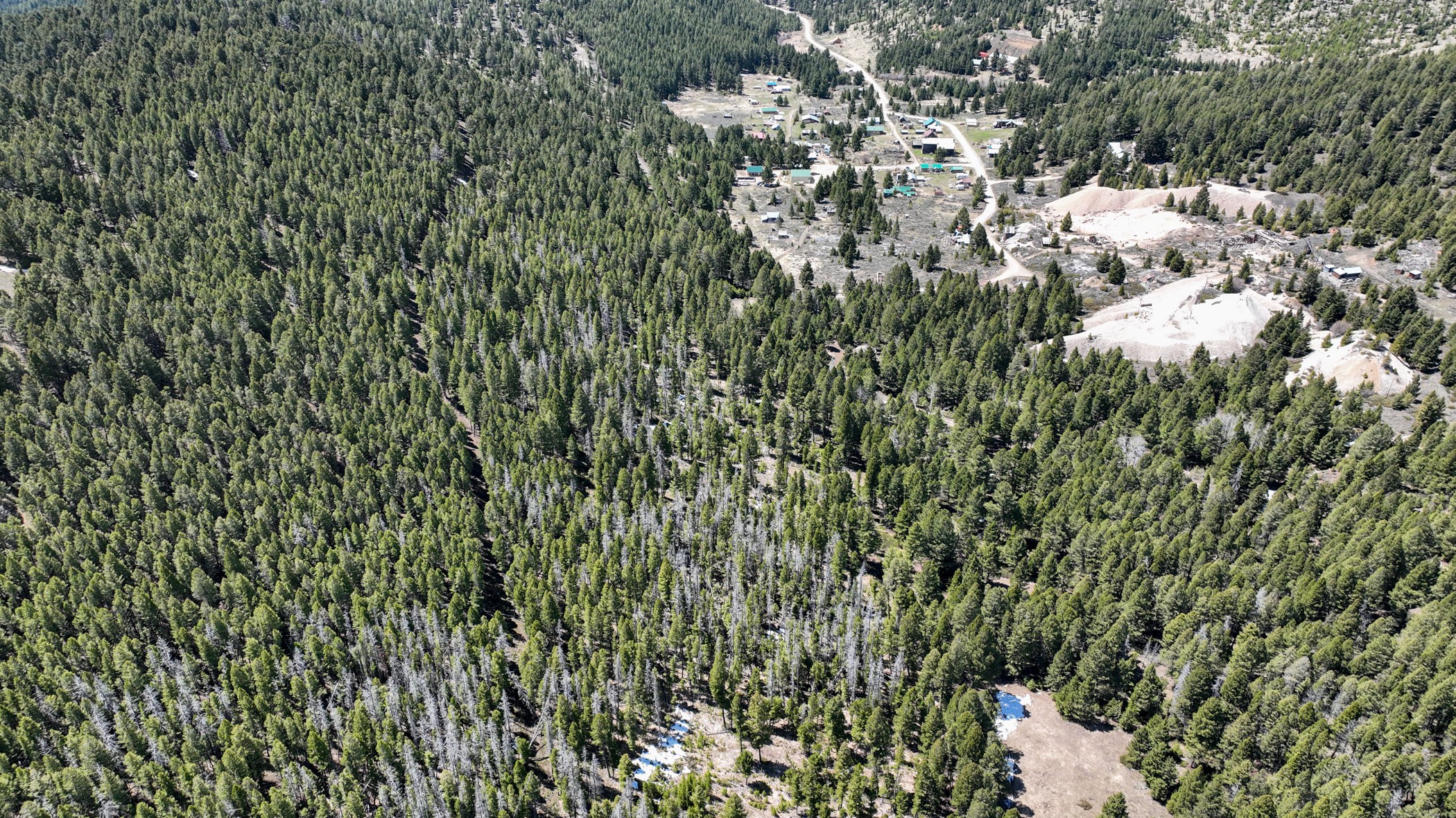 NHN Elkhorn Road Elkhorn/Hardin/Silver