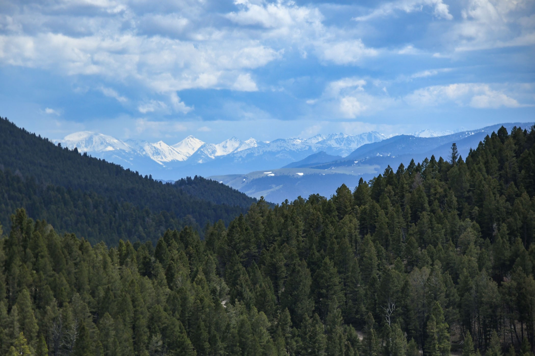 NHN Elkhorn Road Elkhorn/Hardin/Silver