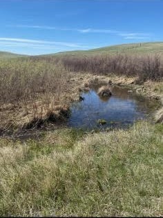 NHN Hill School Road