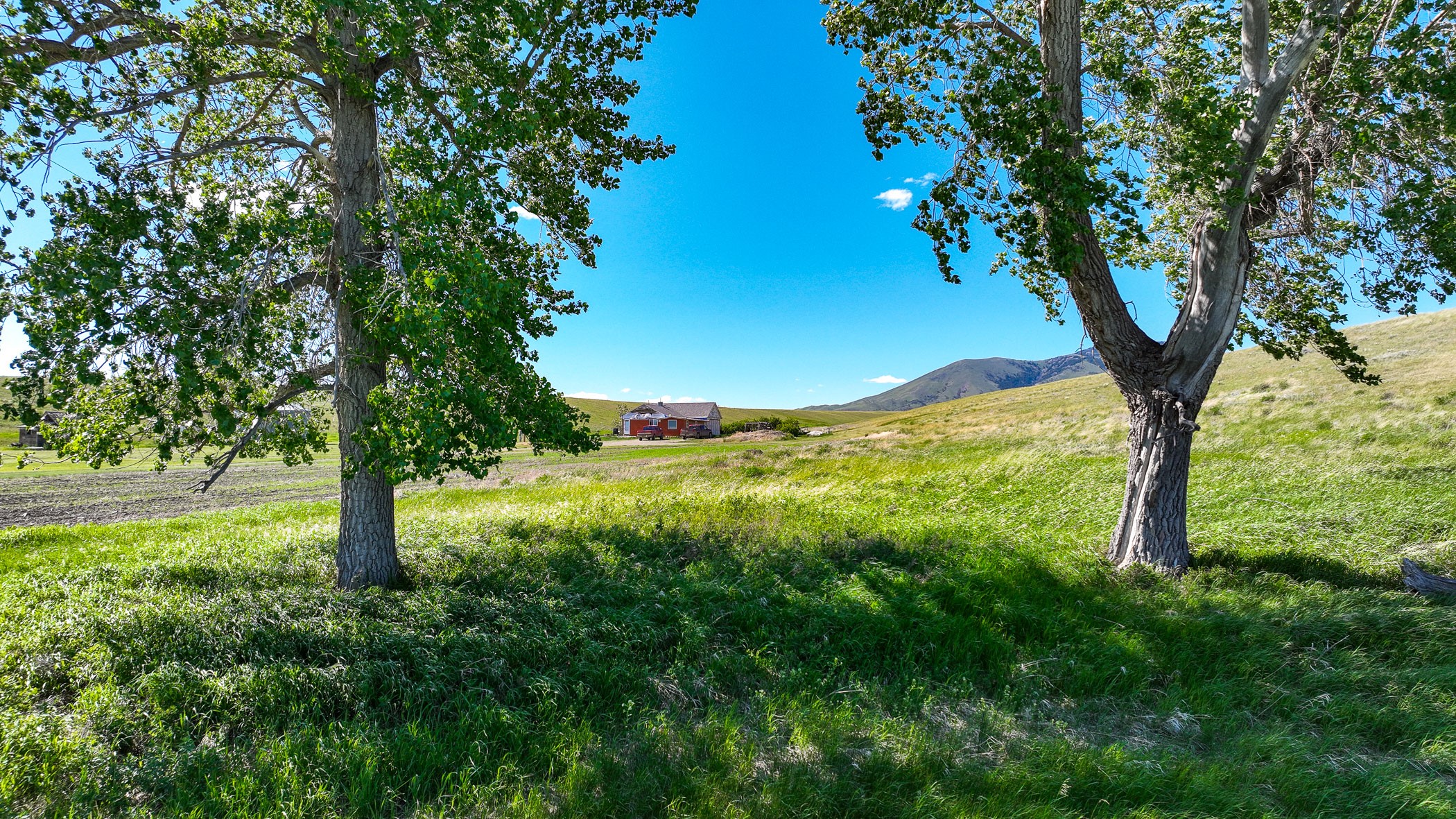 NHN Hill School Road