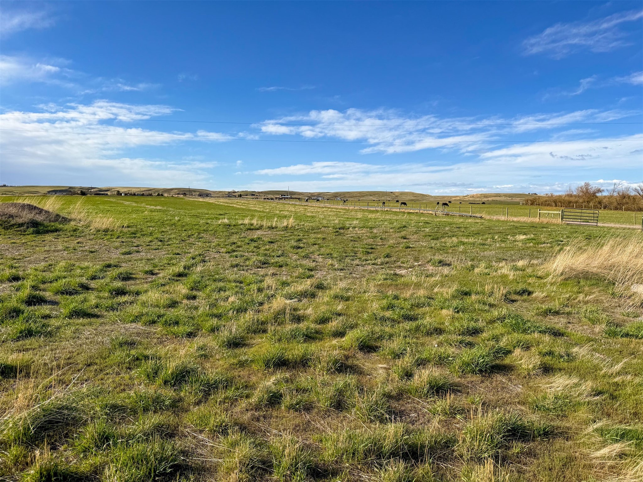 64 Deerfoot Trail