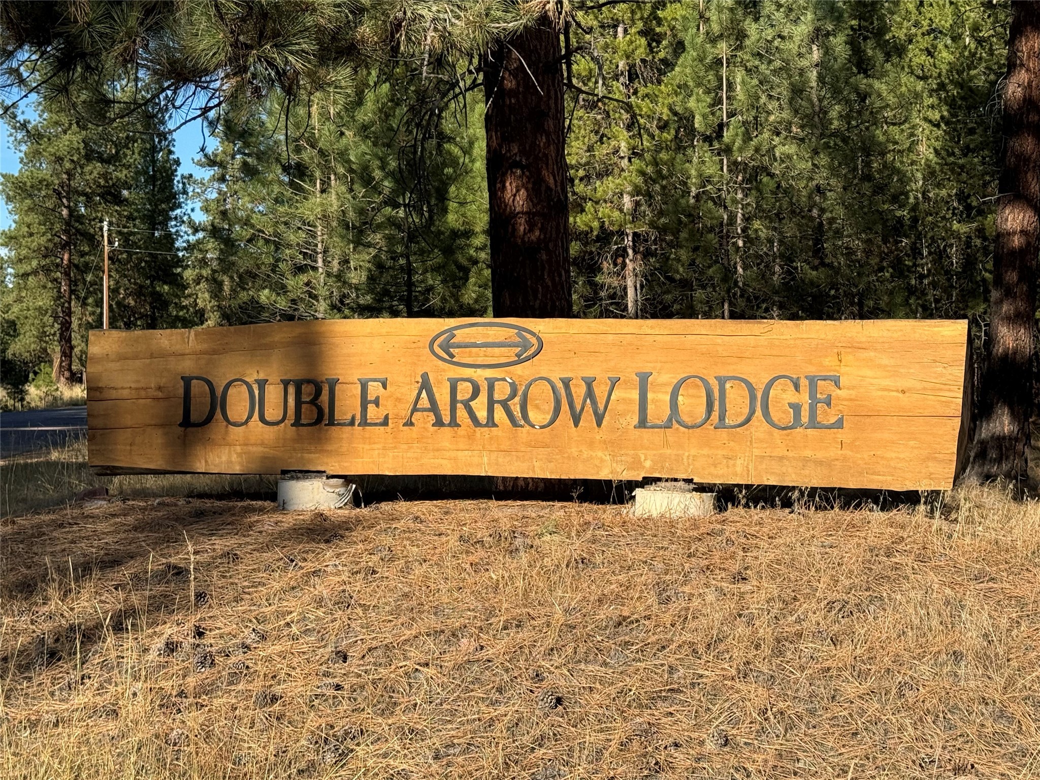 850 Wolverine Drive