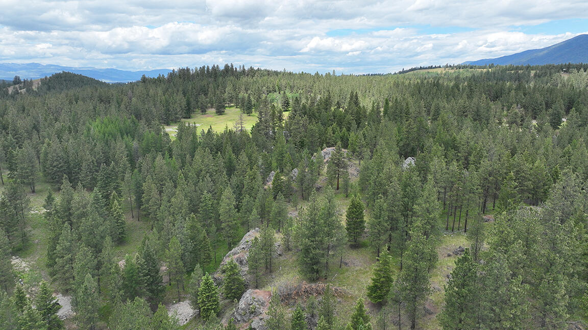 752 Tripp Trail