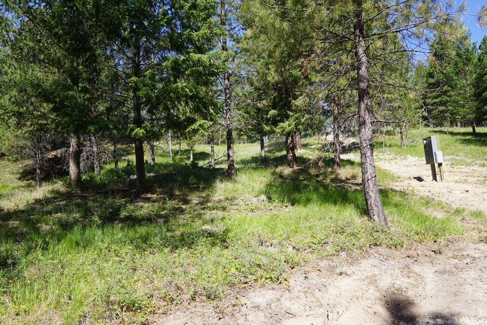 752 Tripp Trail