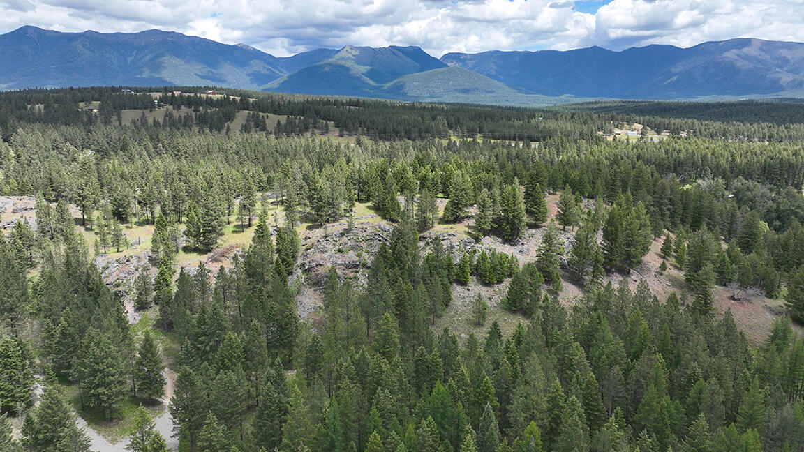 752 Tripp Trail