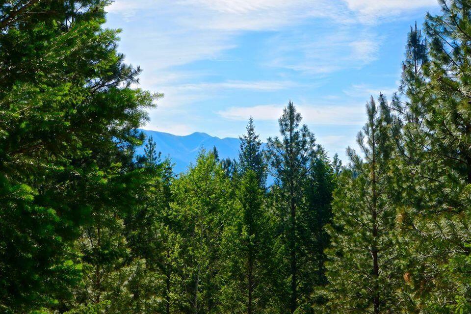 752 Tripp Trail
