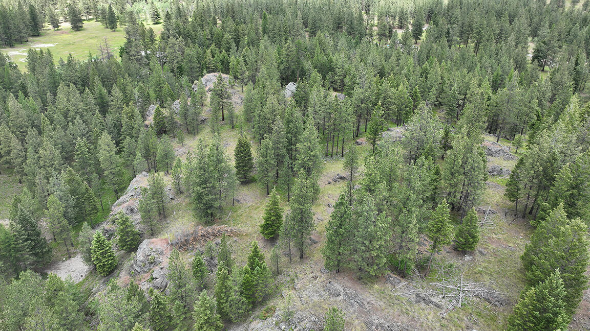 752 Tripp Trail