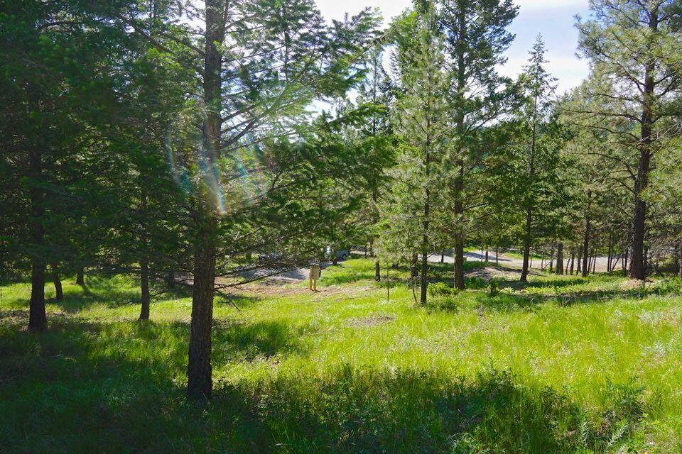 752 Tripp Trail