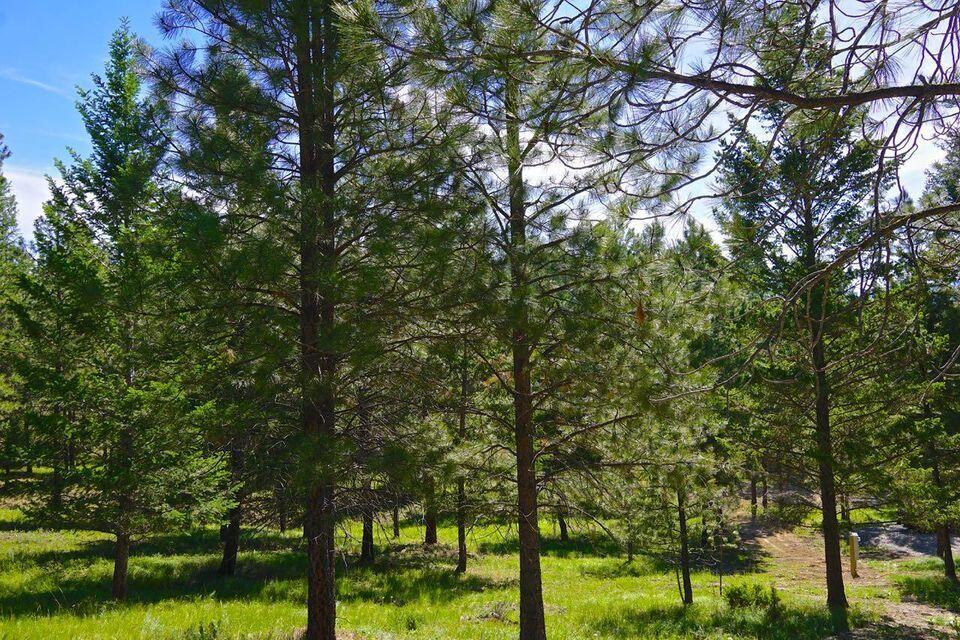 752 Tripp Trail