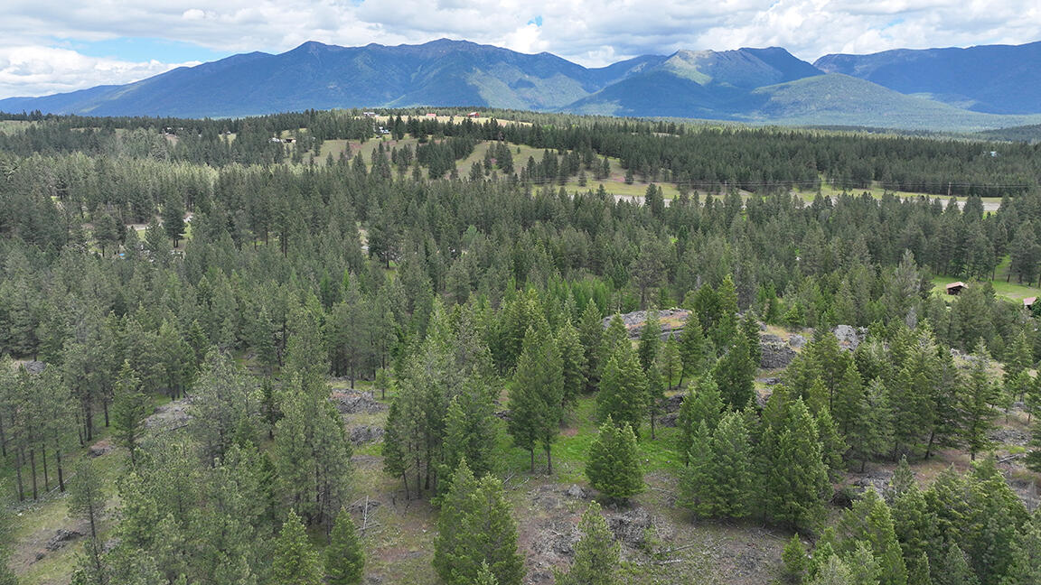 752 Tripp Trail