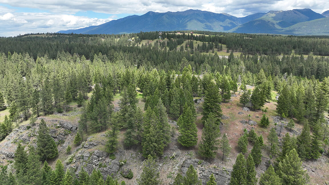 752 Tripp Trail