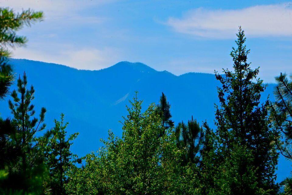 752 Tripp Trail