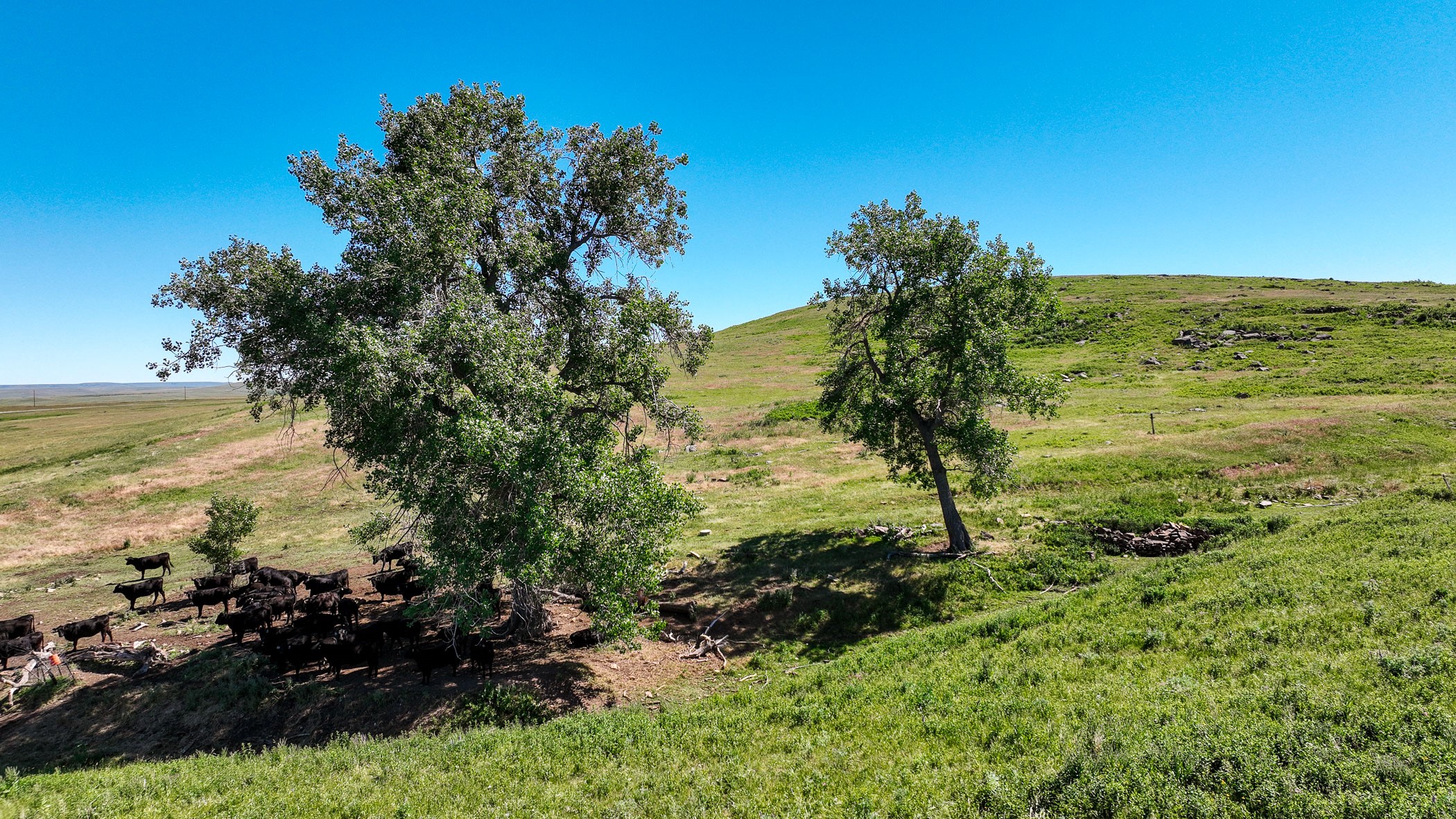 596 Upper Millegan Road