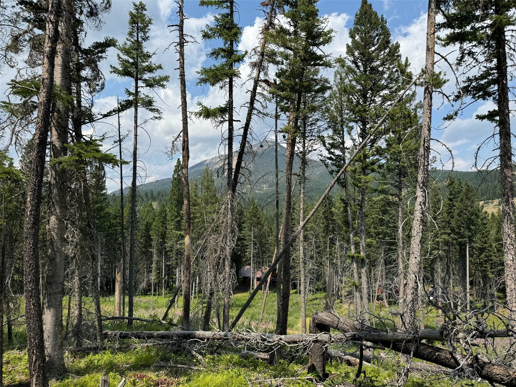 NHN Cabin-Double Falls