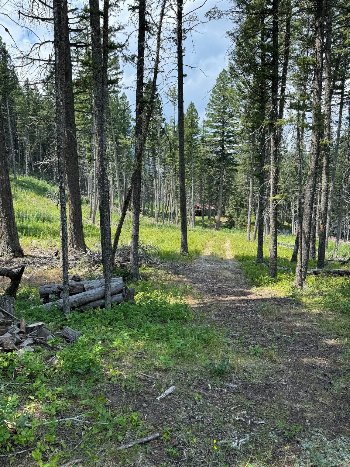 NHN Cabin-Double Falls
