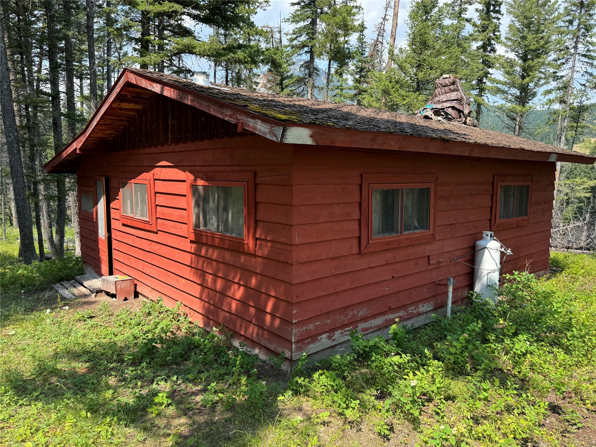 NHN Cabin-Double Falls