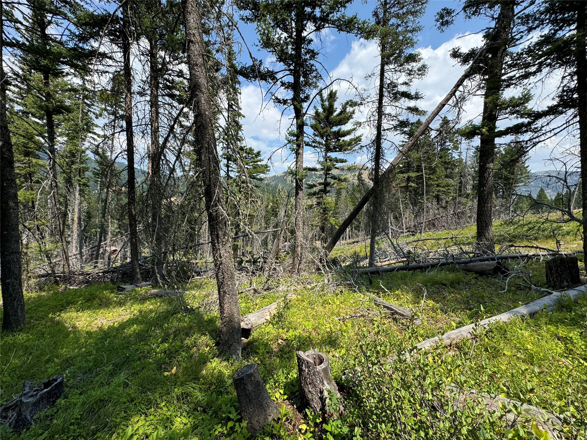 NHN Cabin-Double Falls