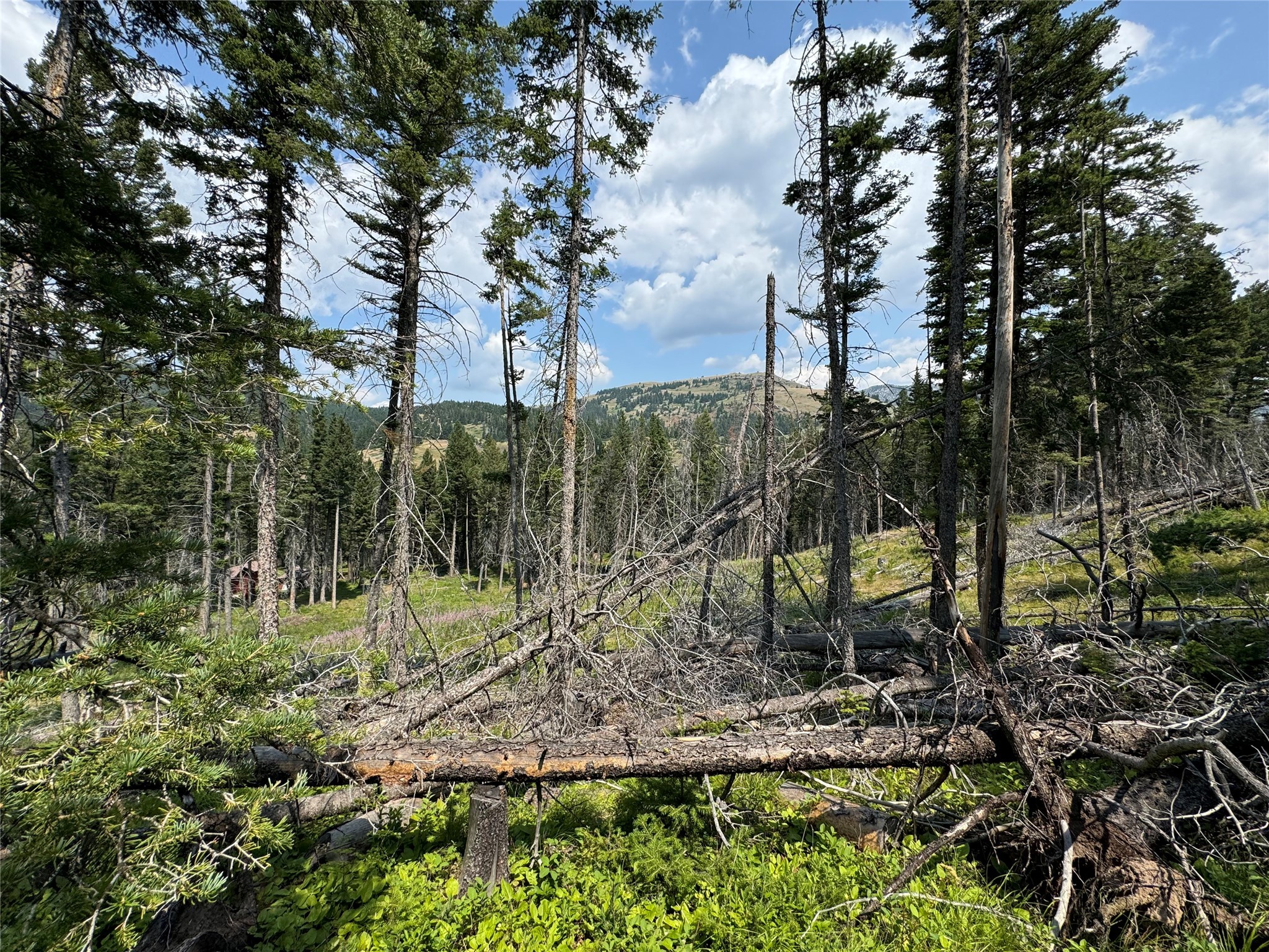 NHN Cabin-Double Falls