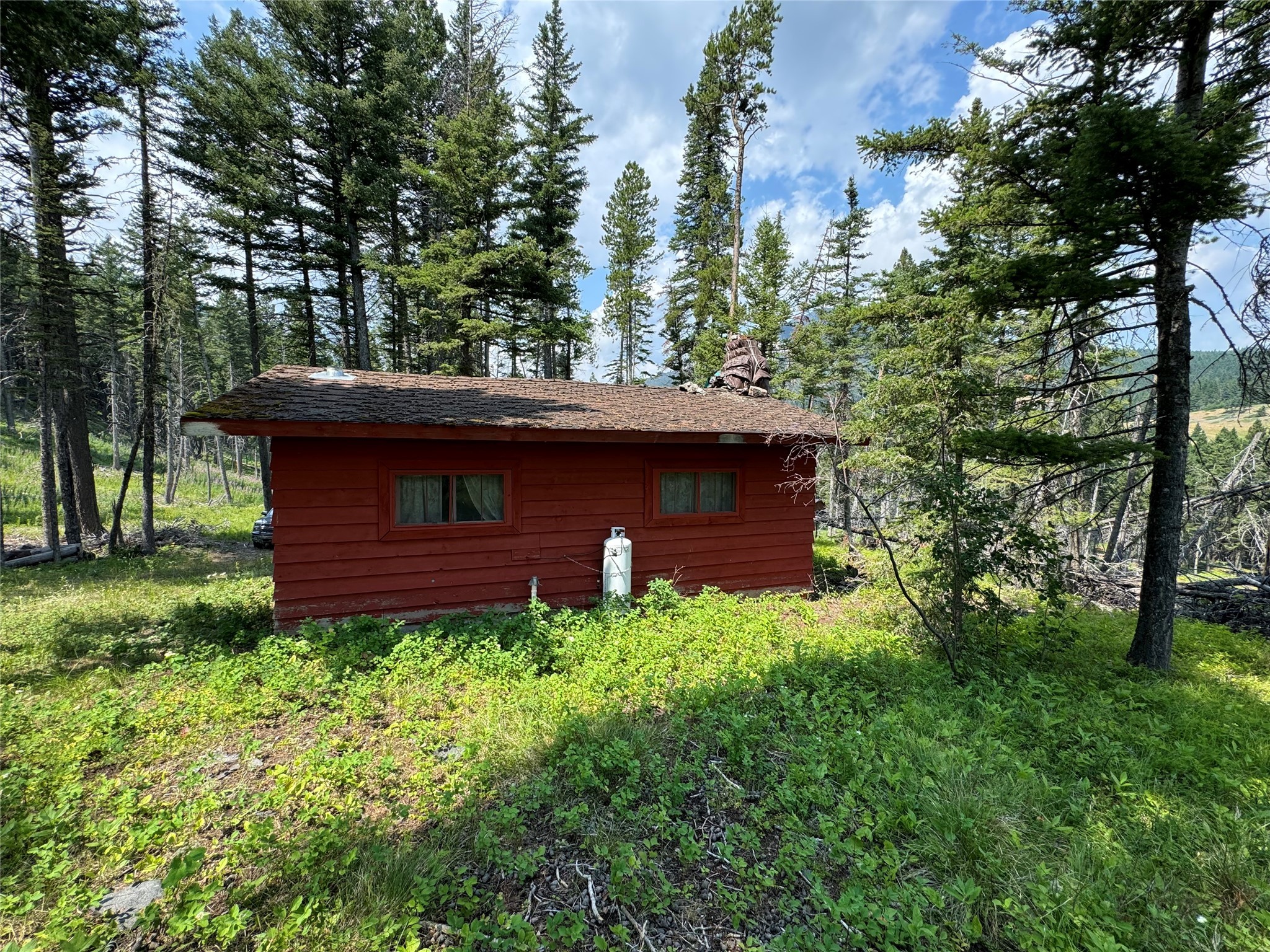 NHN Cabin-Double Falls