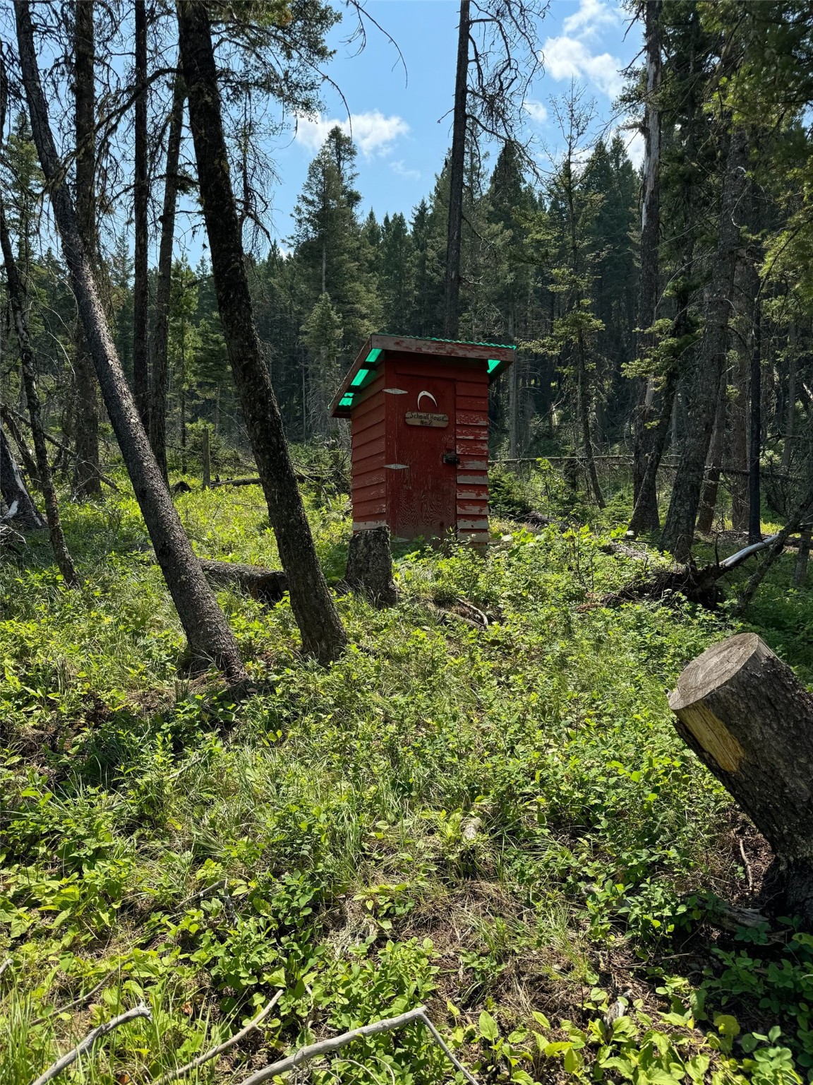 NHN Cabin-Double Falls