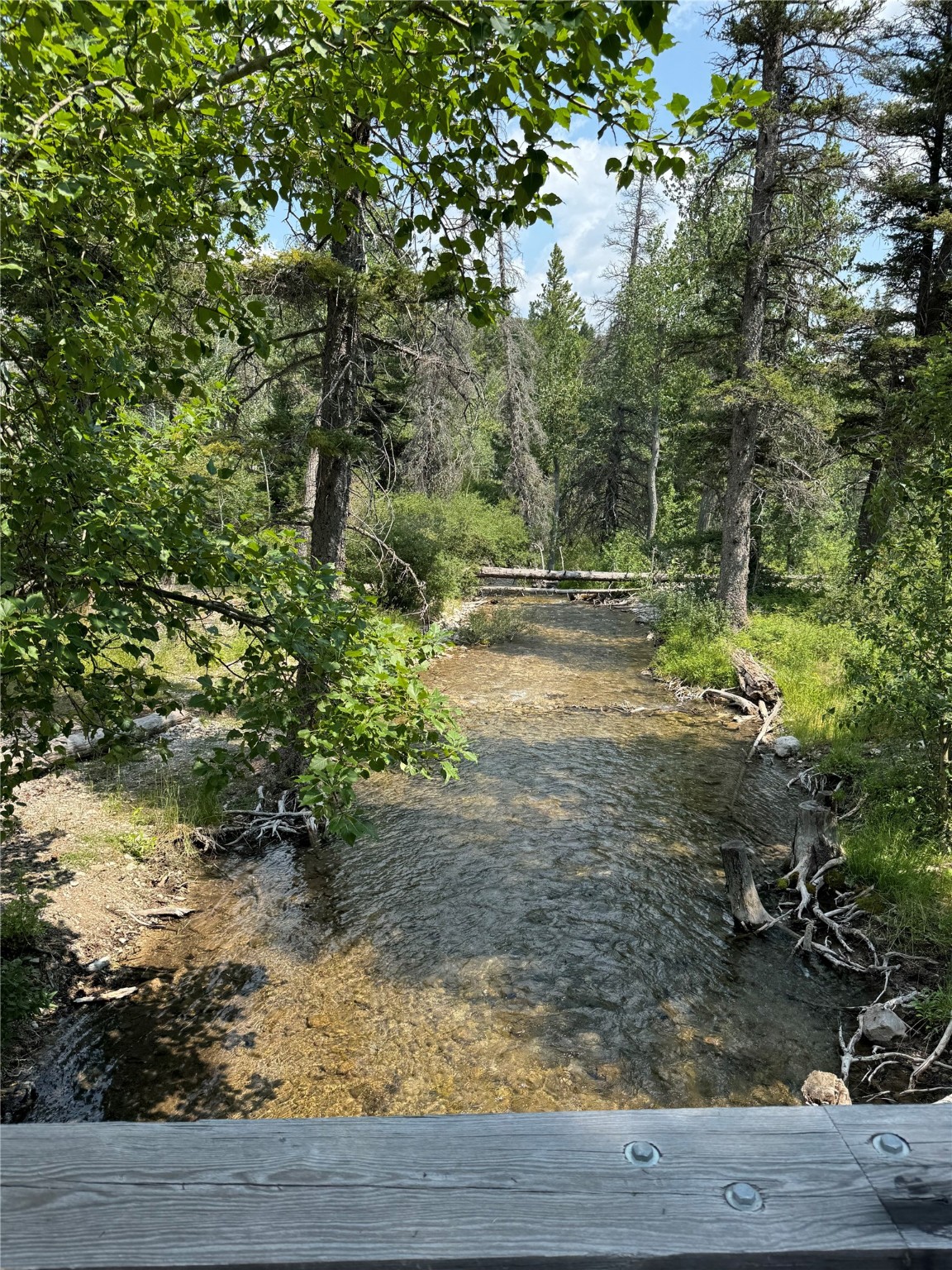 NHN Cabin-Double Falls