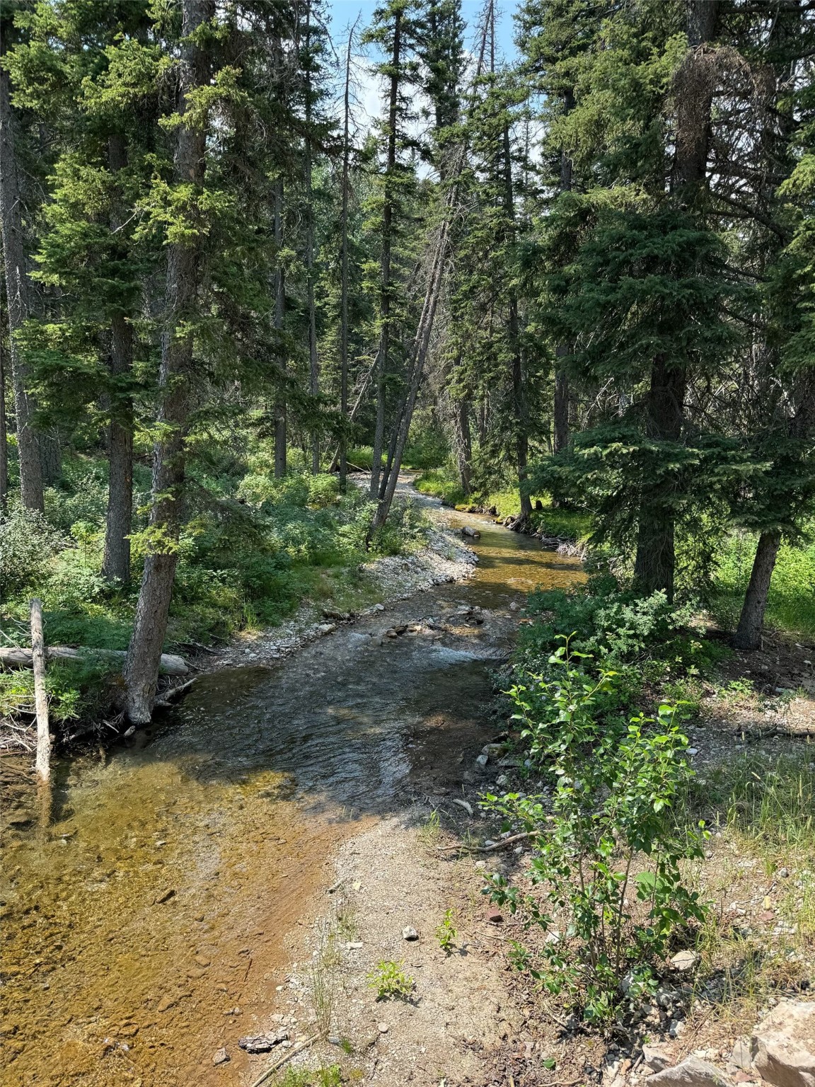 NHN Cabin-Double Falls