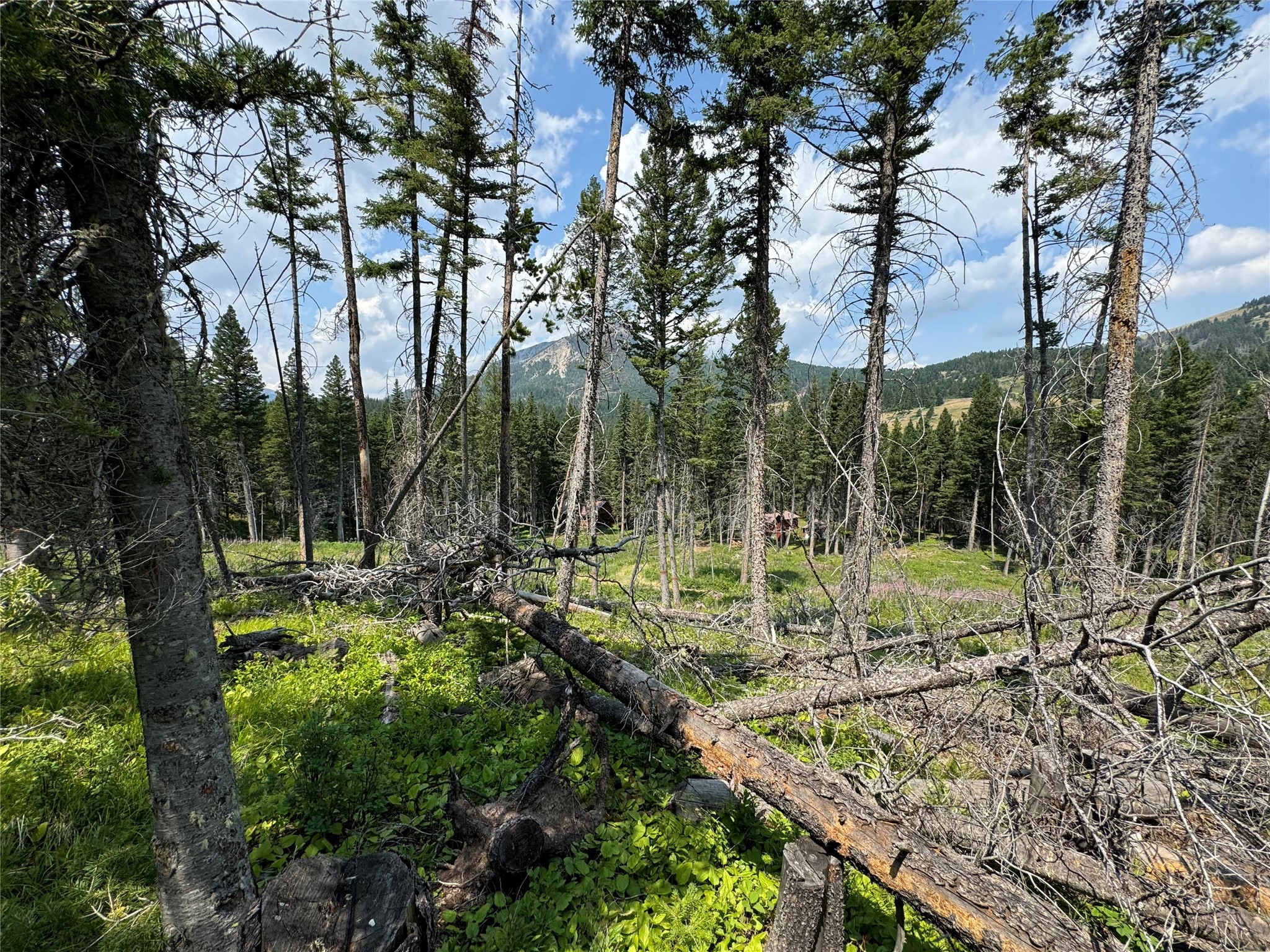NHN Cabin-Double Falls