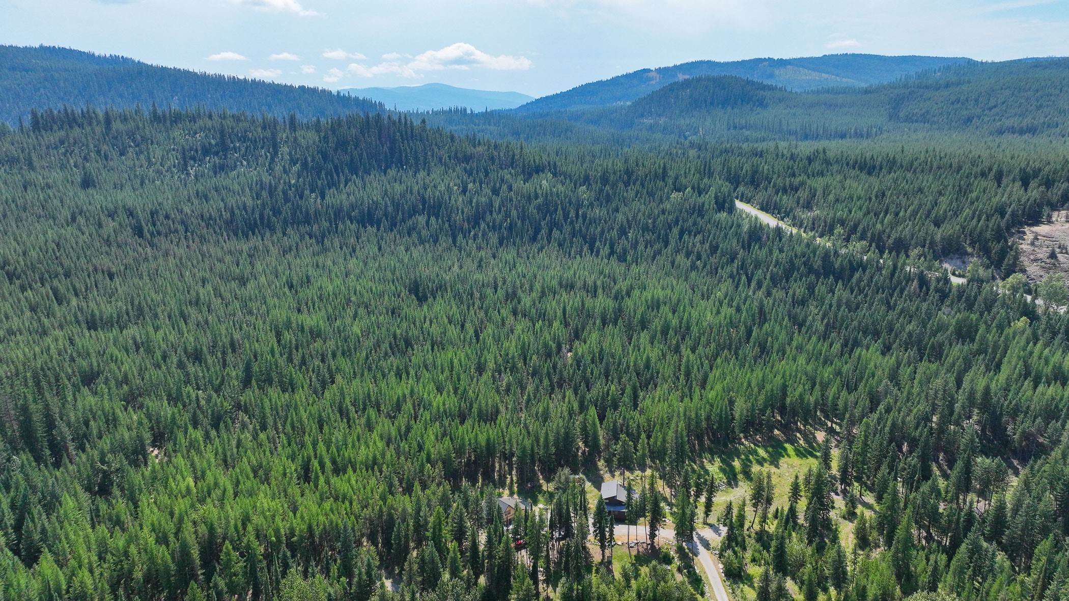 156 Moose Trail Drive