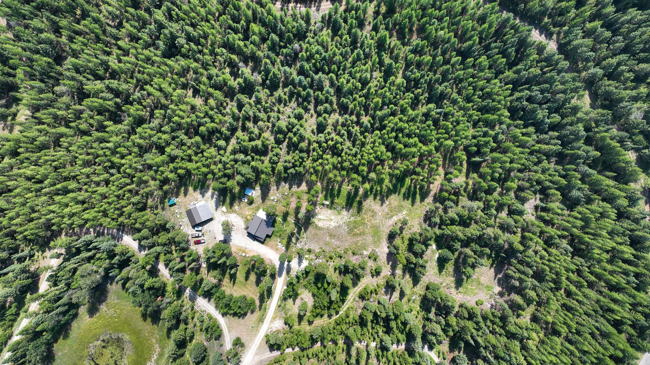 156 Moose Trail Drive