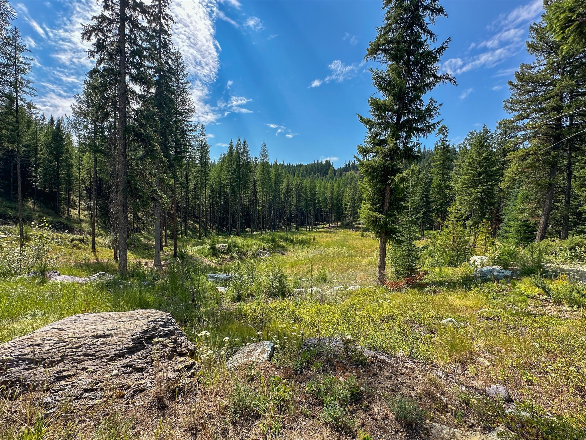 156 Moose Trail Drive