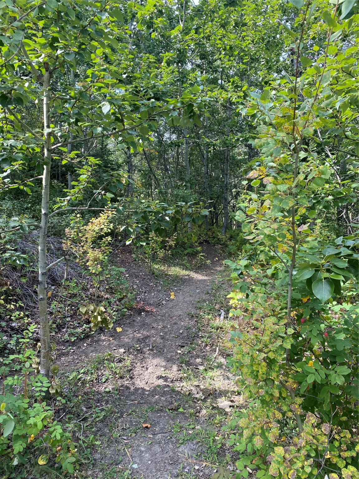 Nhn Arlie Tracts - Lot 30