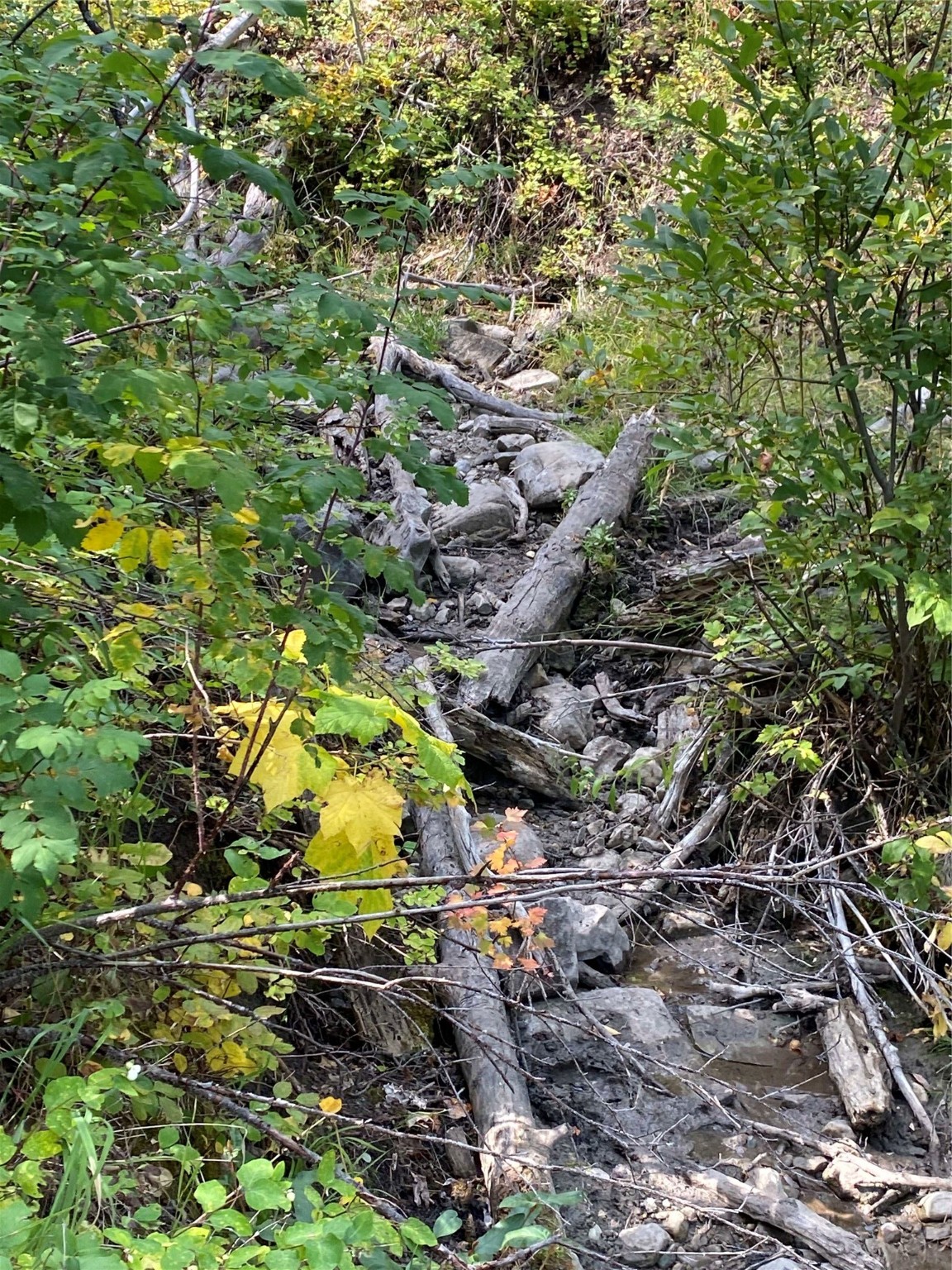 Nhn Arlie Tracts - Lot 30