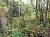Nhn Arlie Tracts - Lot 30