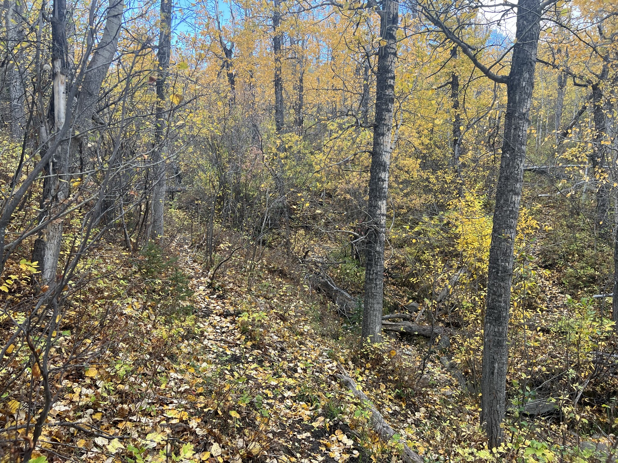 Nhn Arlie Tracts - Lot 30