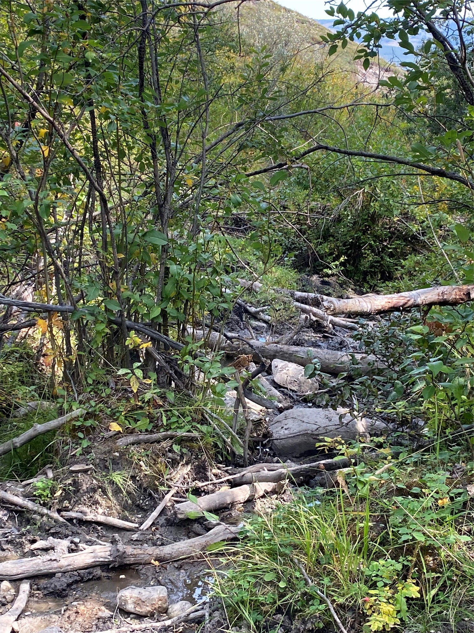 Nhn Arlie Tracts - Lot 30