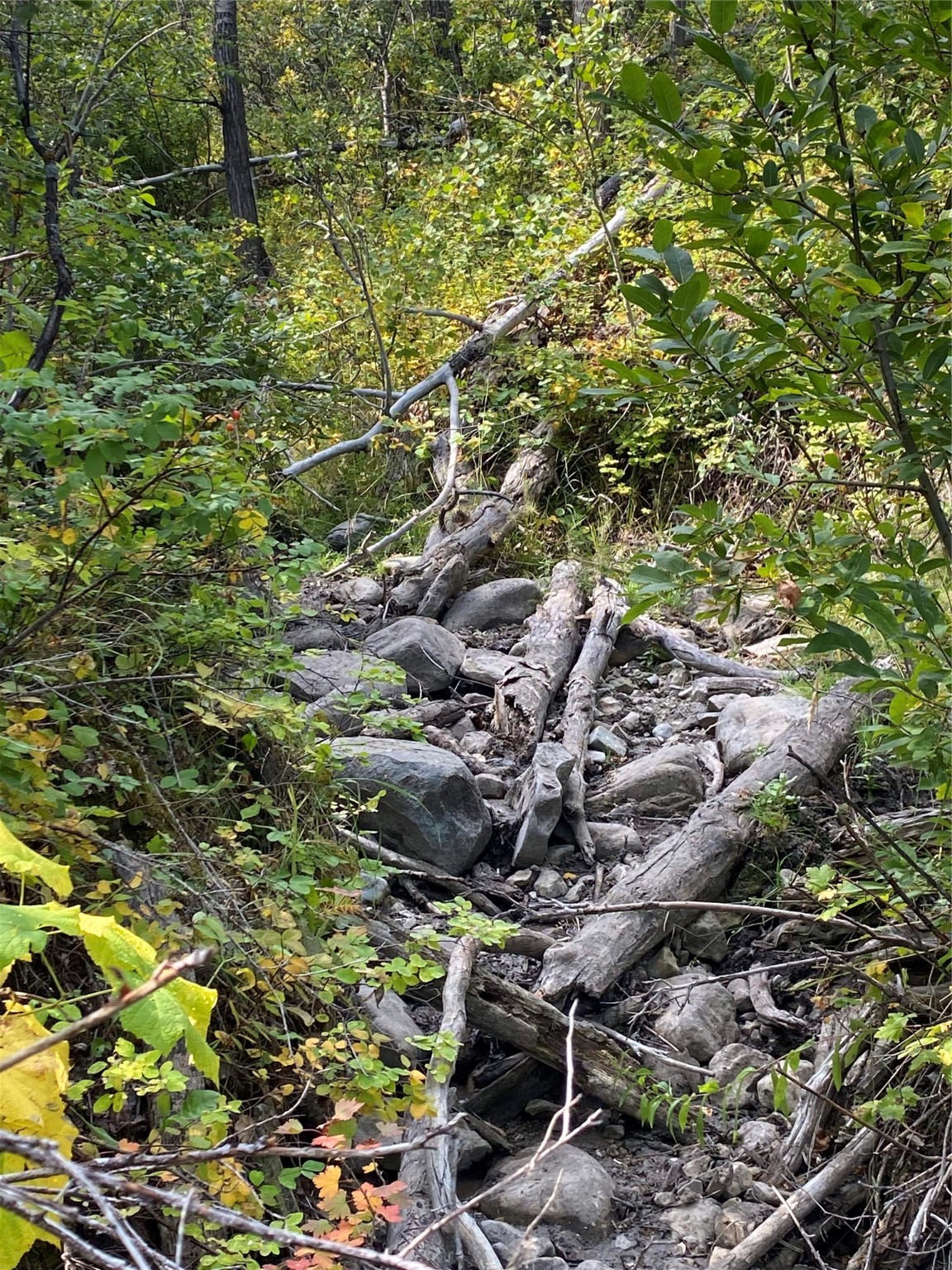 Nhn Arlie Tracts - Lot 30