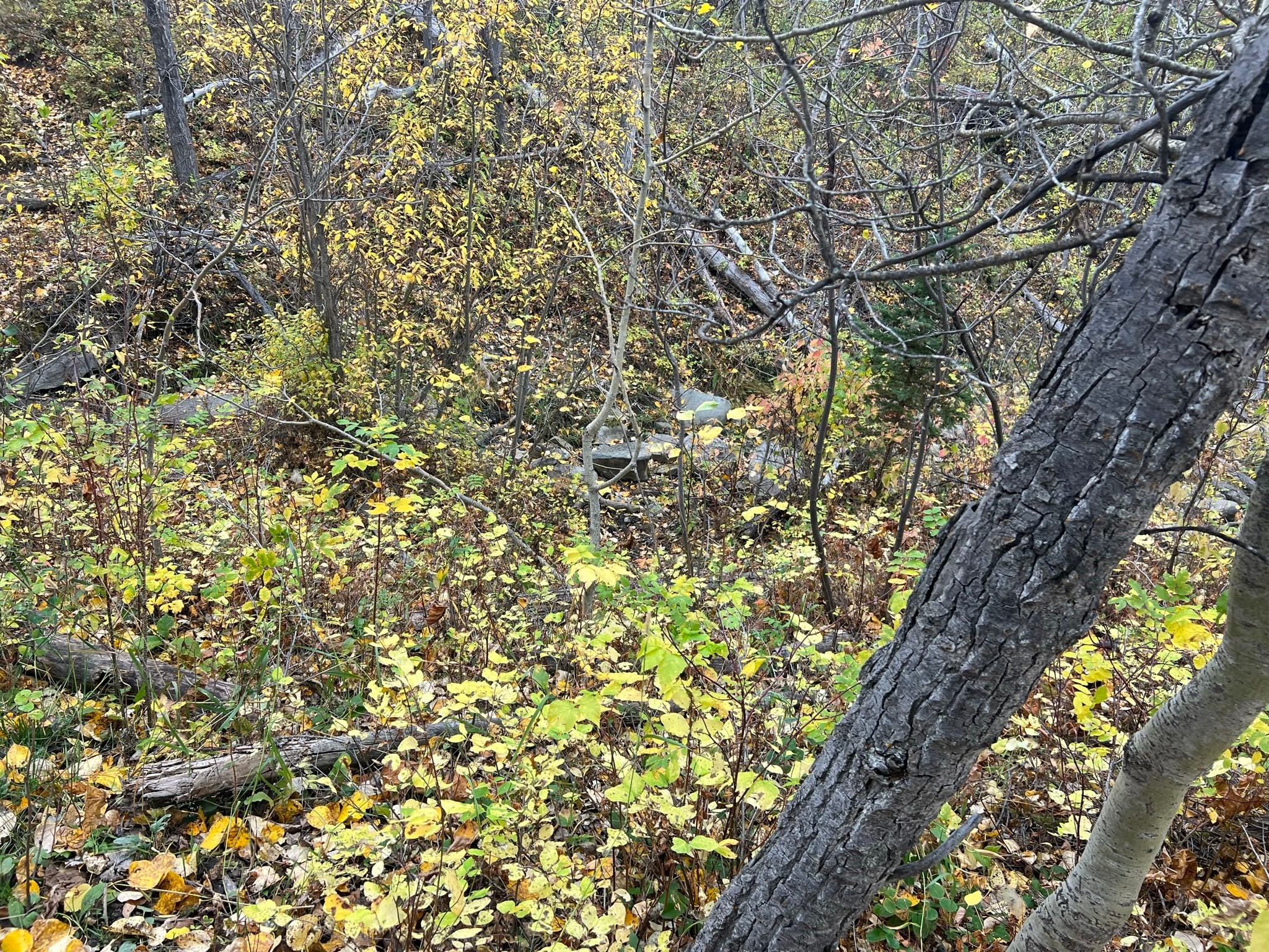 Nhn Arlie Tracts - Lot 30