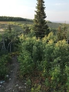 Nhn Arlie Tracts - Lot 30