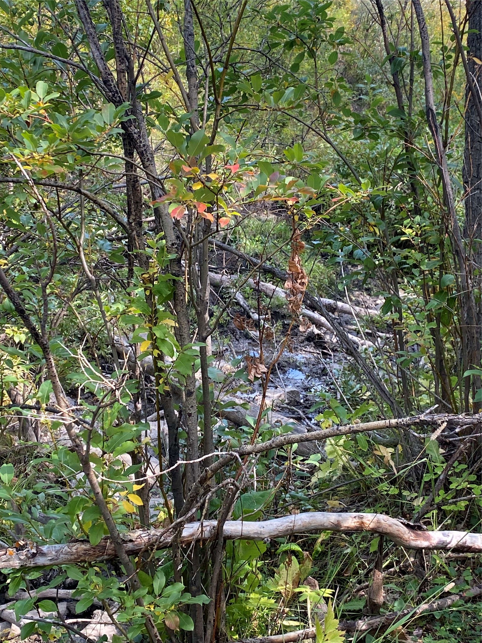 Nhn Arlie Tracts - Lot 30