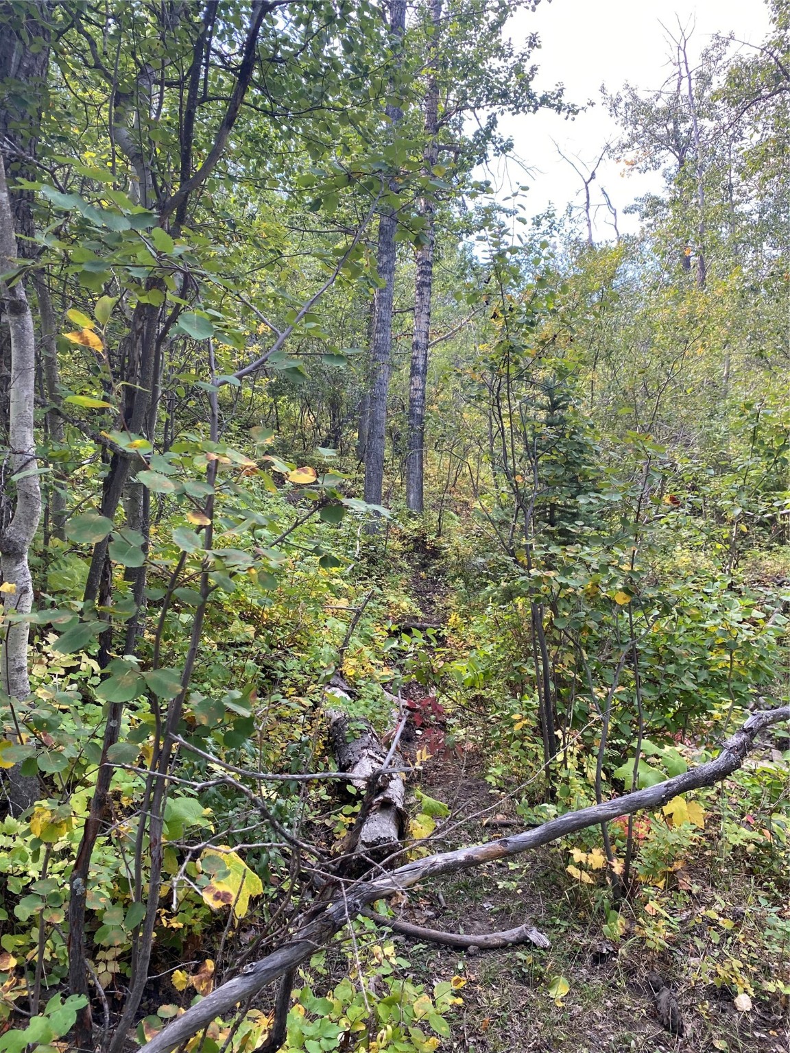 Nhn Arlie Tracts - Lot 30