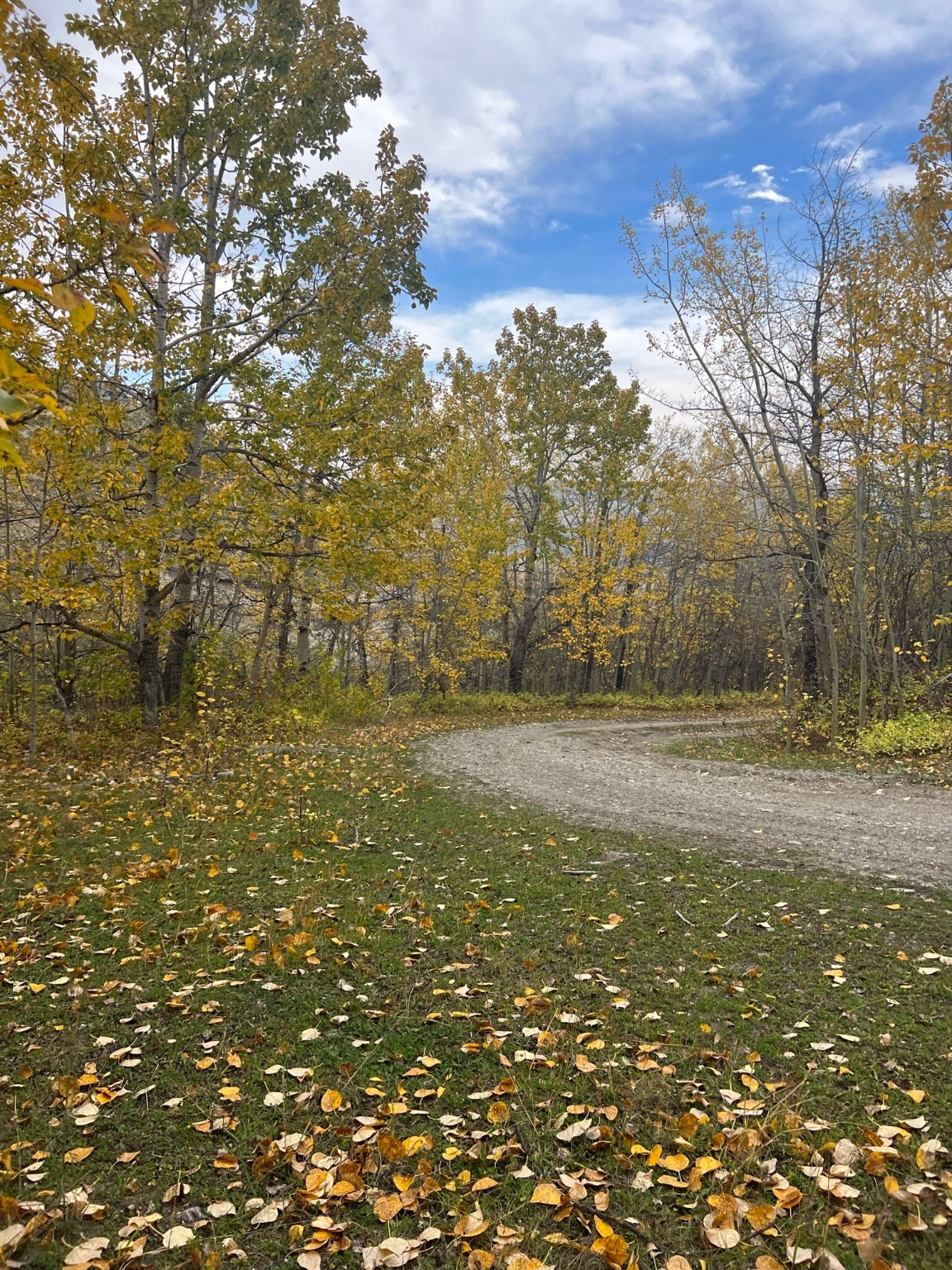 Nhn Arlie Tracts - Lots 28/29