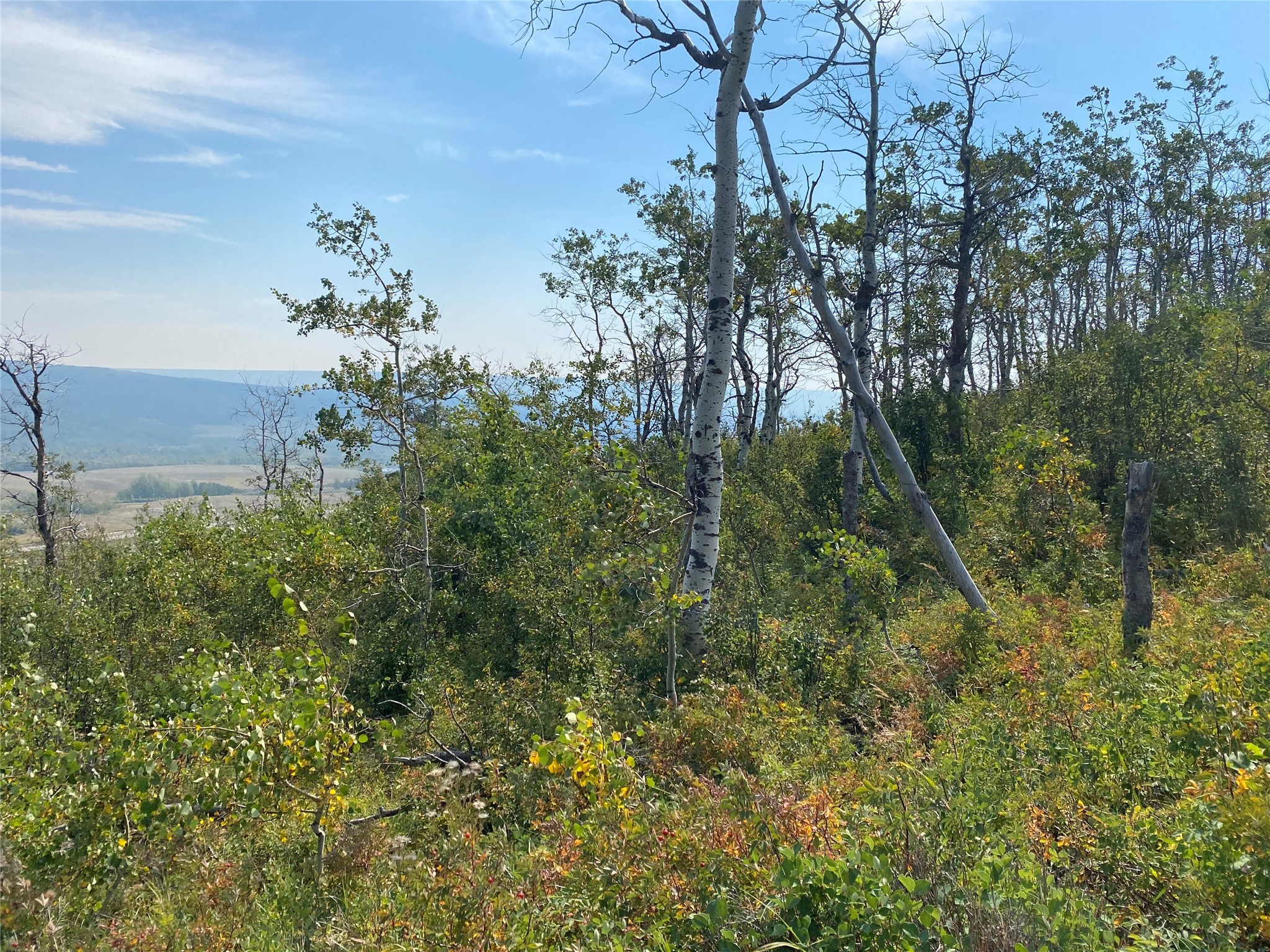 Nhn Arlie Tracts - Lots 28/29