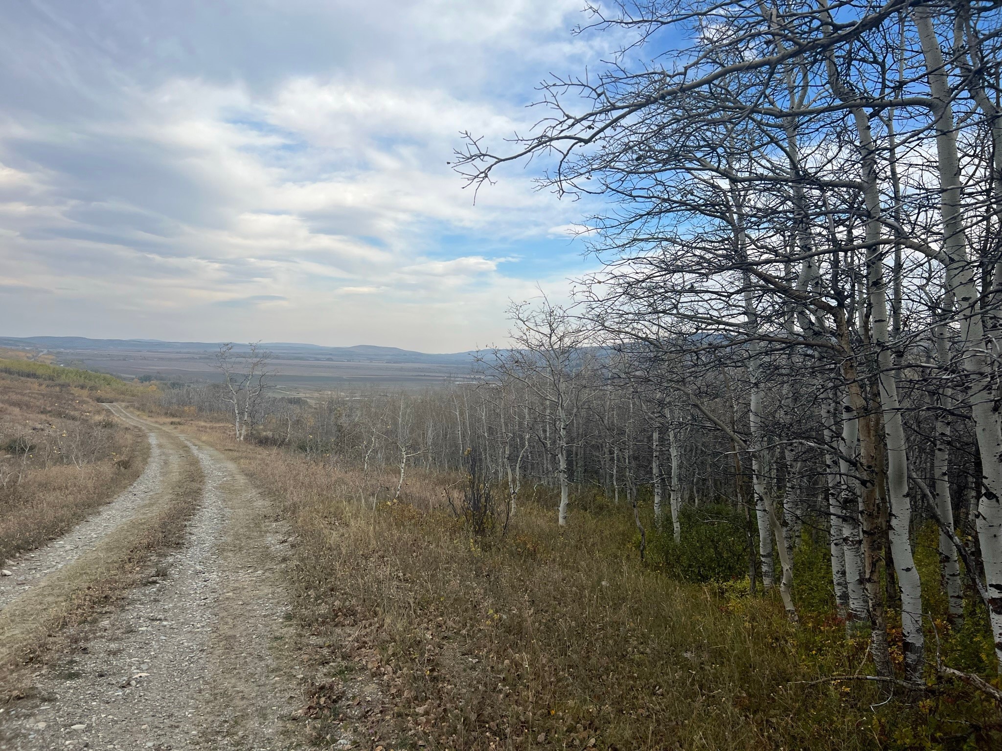 Nhn Arlie Tracts - Lots 28/29