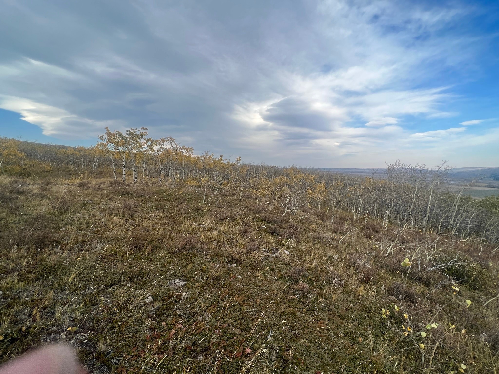 Nhn Arlie Tracts - Lots 28/29
