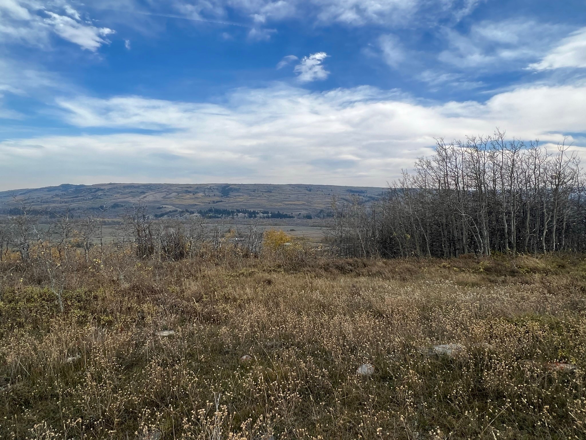 Nhn Arlie Tracts - Lots 28/29