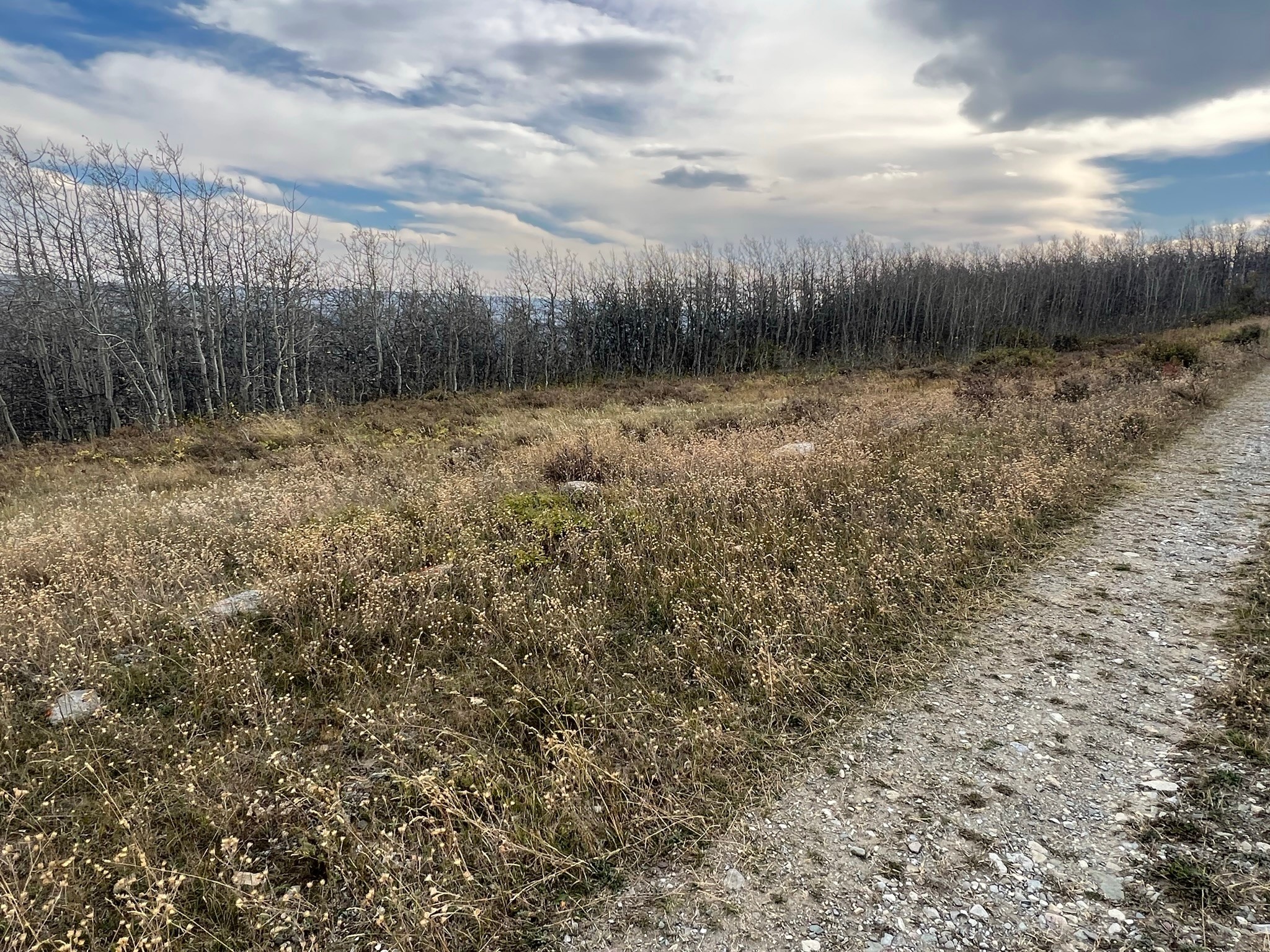 Nhn Arlie Tracts - Lots 28/29