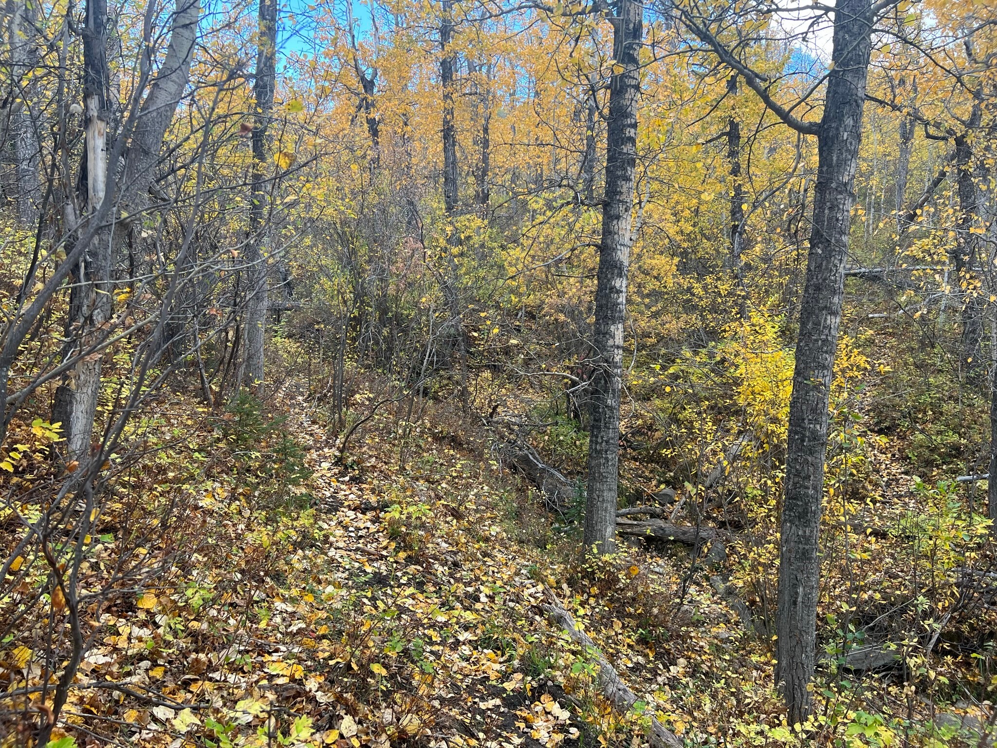 Nhn Arlie Tracts - Lots 28/29