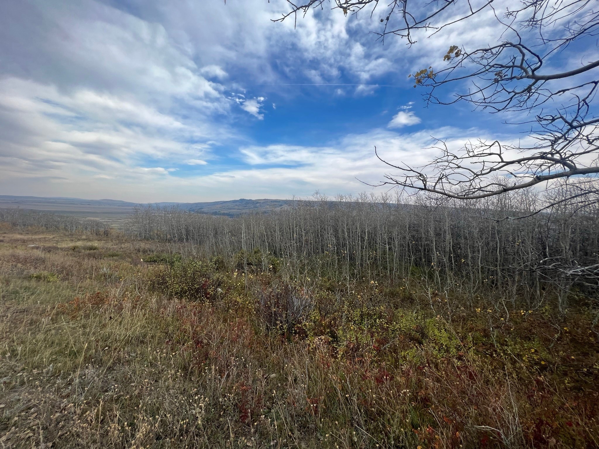 Nhn Arlie Tracts - Lots 28/29
