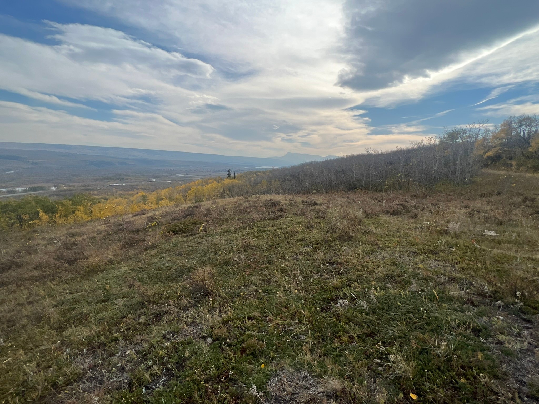 Nhn Arlie Tracts - Lots 28/29