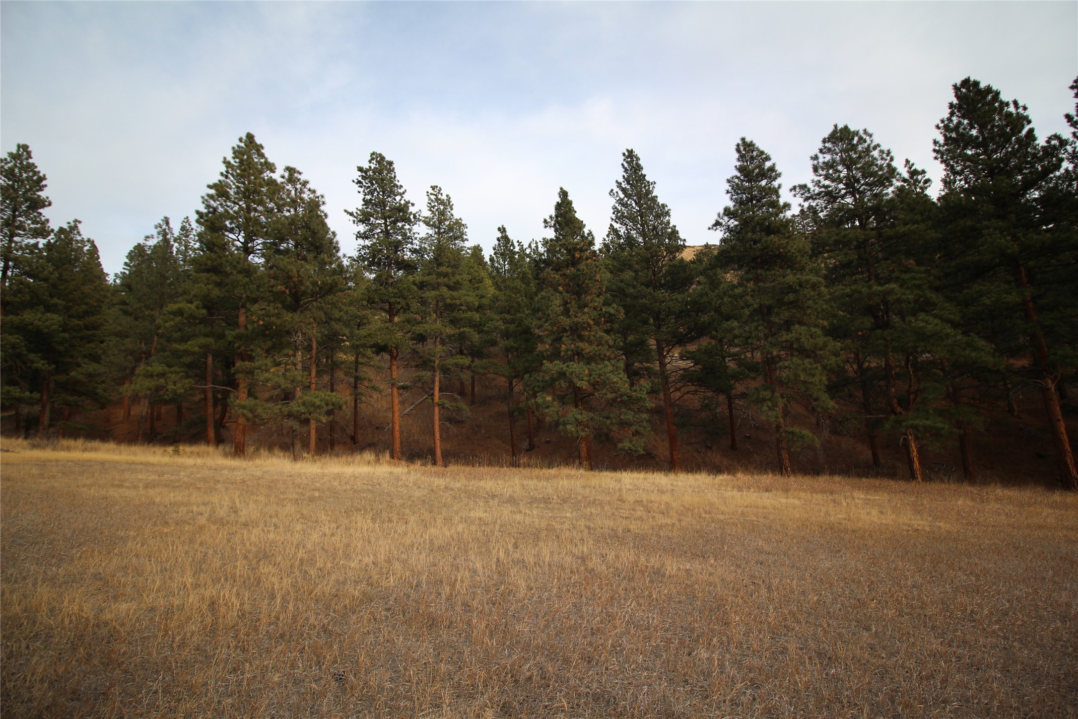 41 Sugarloaf Mtn. Lane